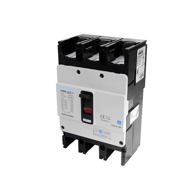 Hyundai Circuit Breakers 100A Adj Type HGM125